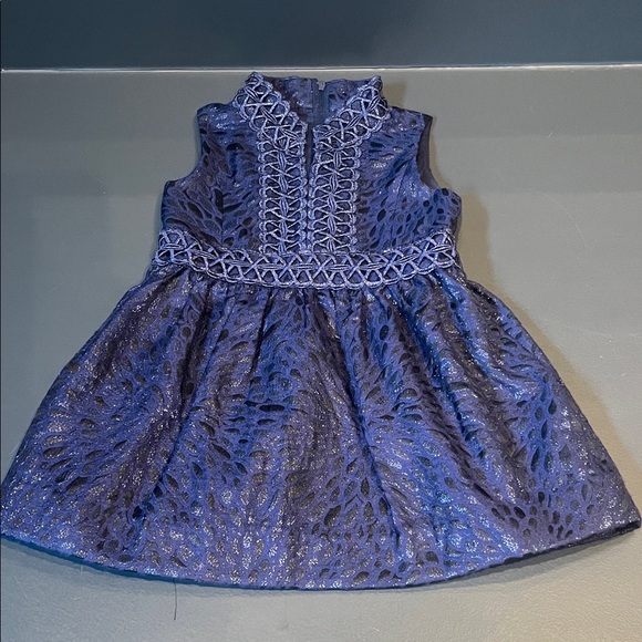 Lilly Pulitzer Other - Lilly Pulitzer Blue Jacquard Kids Formal Dress Size 2